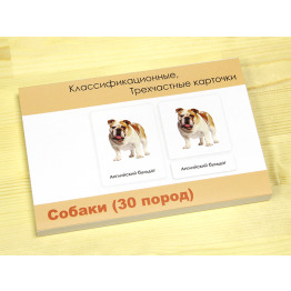 V.01.05 Трехчастные карточки для чтения «Собаки» (30 пород)