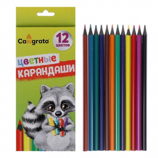 CS_067697 Карандаши цветные 12 цветов